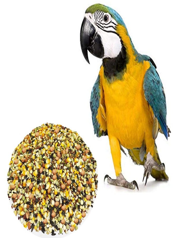 One Top Multi Mixed Seeds Nuts Natural Birds Foods 1KG for Cockatiel, Love Birds, Parrots, Budgies, Dove Grain and Seeds and All Eating Birds - Image 2